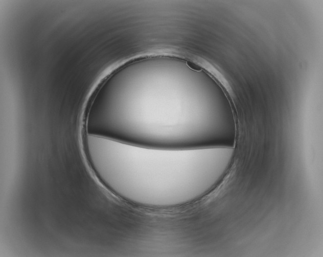 X0000112181093200908070935