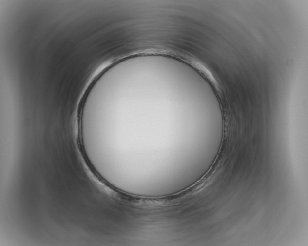 X0000112181095200908070935