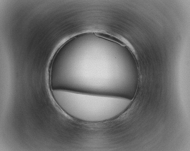 X0000112181096200908070935