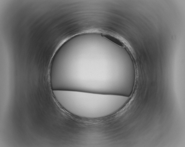 X0000112181097200908070935