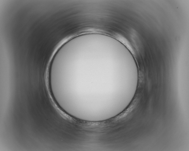 X0000112181098200908070935