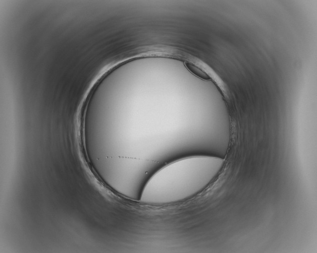 X0000112181099200908070935