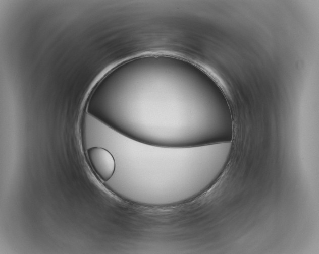 X0000112181100200908070935