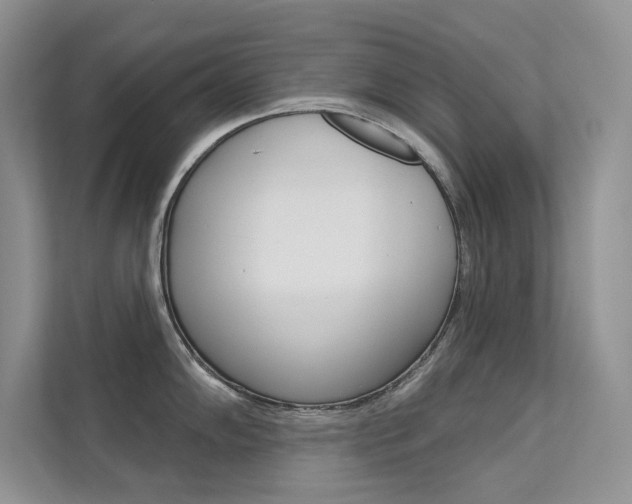 X0000112181102200908070935