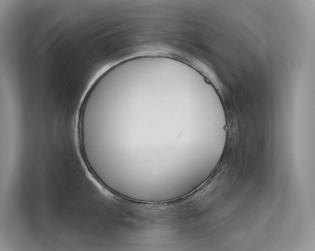 X0000112181103200908070935