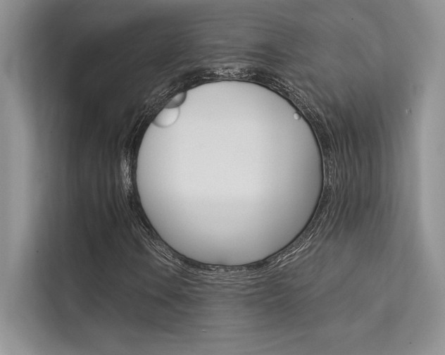 X0000112181106200908070934