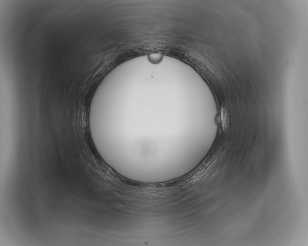 X0000112181107200908070934