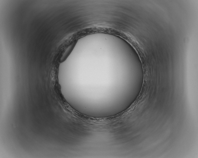 X0000112181110200908070934