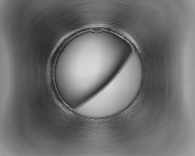 X0000112181116200908070934