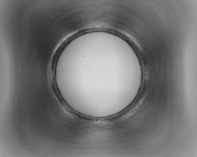 X0000112181117200908070934