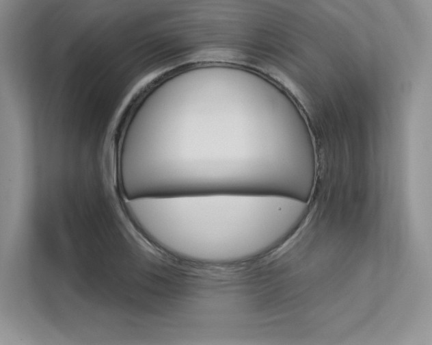 X0000112181123200908070934