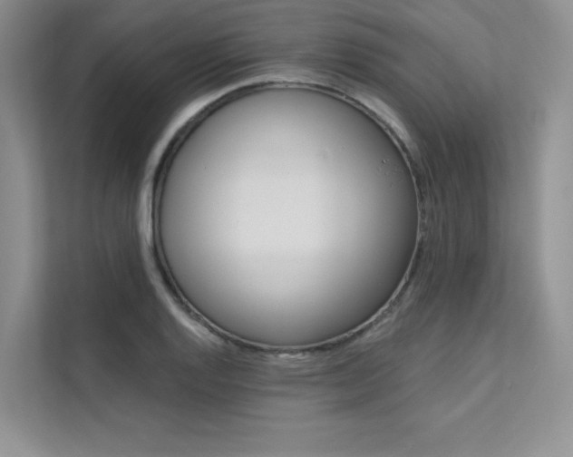 X0000112181128200908070935