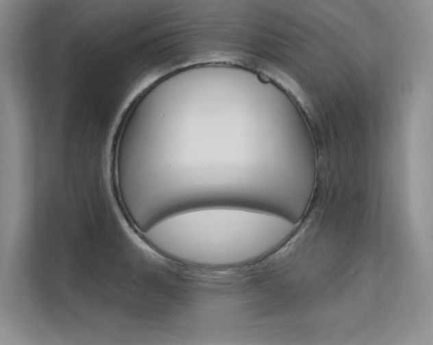 X0000112181135200908070935