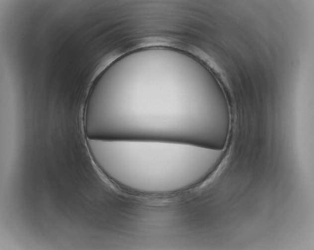 X0000112181137200908070935