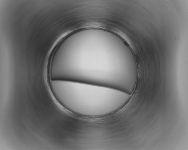 X0000112181139200908070935