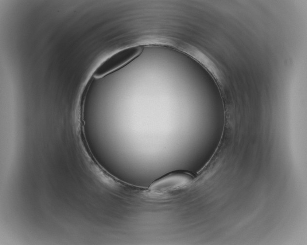 X0000112181140200908070935