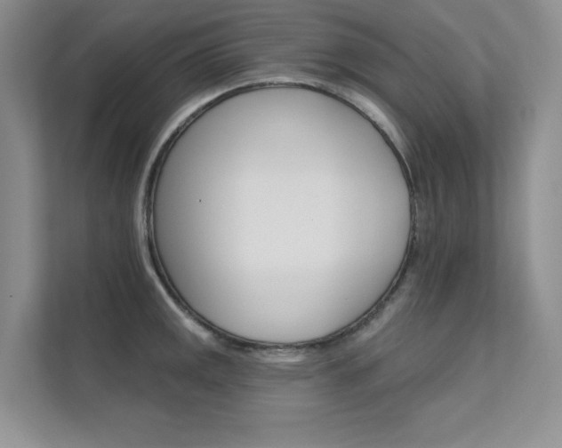 X0000112181141200908070935