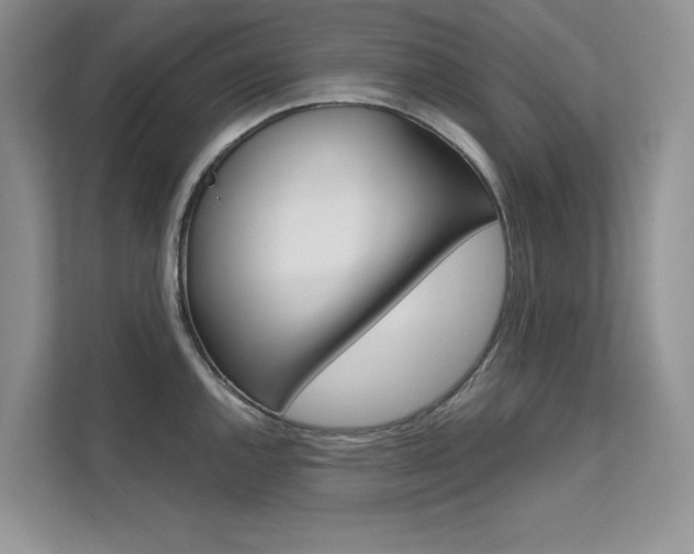 X0000112181144200908070935