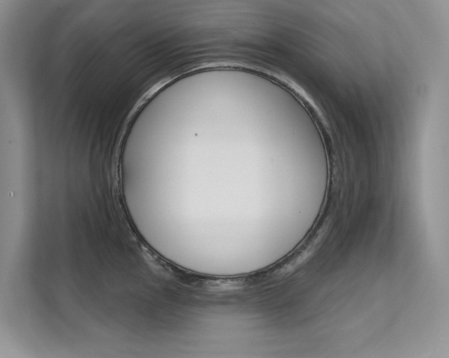 X0000112181145200908070935