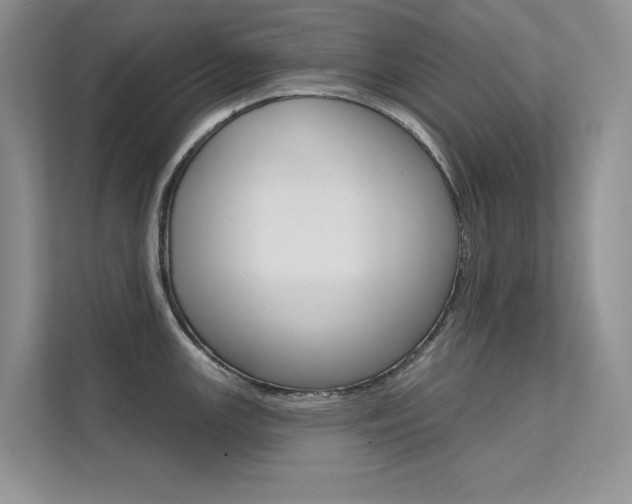 X0000112181147200908070935