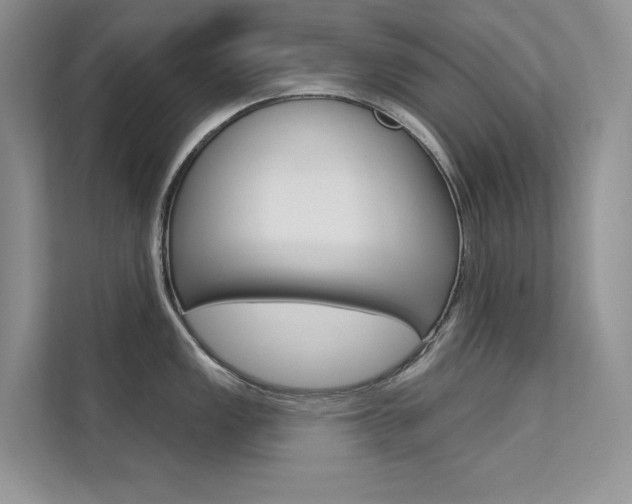 X0000112181149200908070935