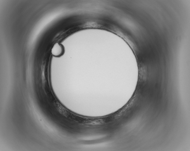 X0000112181150200908070935