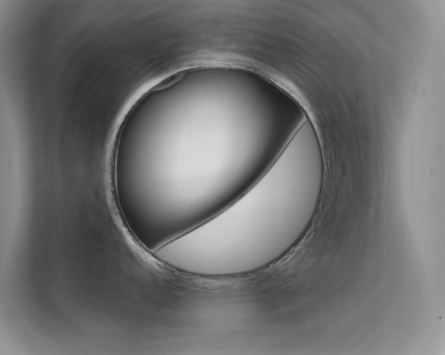 X0000112181152200908070935