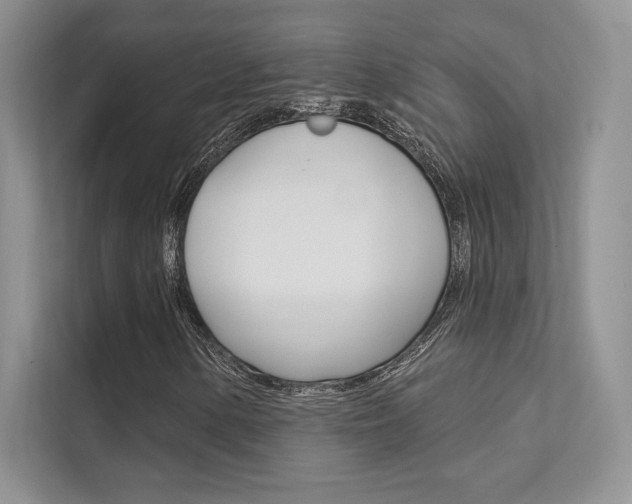 X0000112181154200908070934