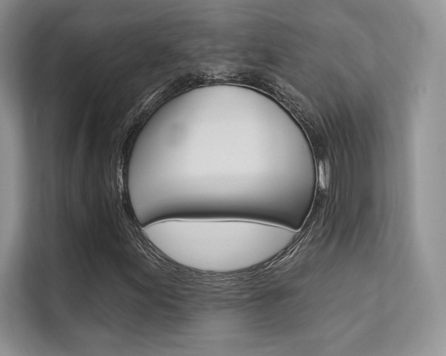 X0000112181155200908070934