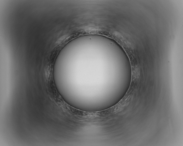 X0000112181157200908070934