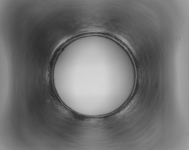 X0000112181163200908070934