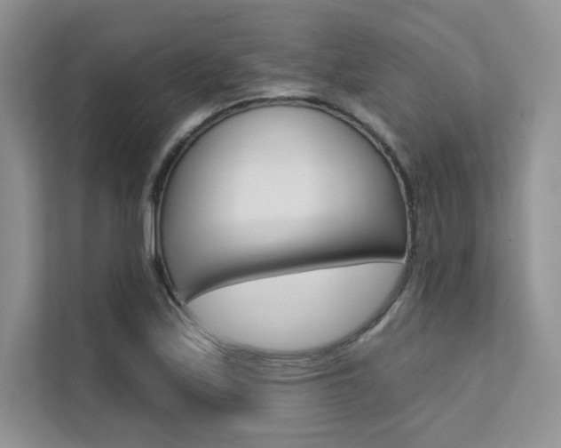 X0000112181171200908070934