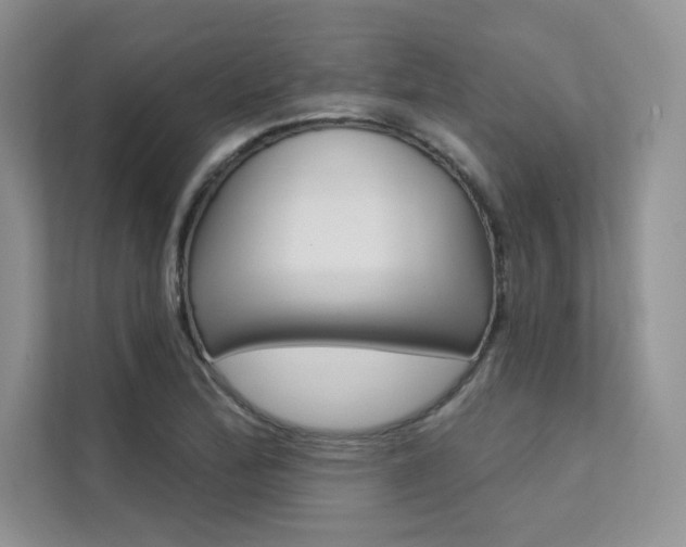X0000112181172200908070934