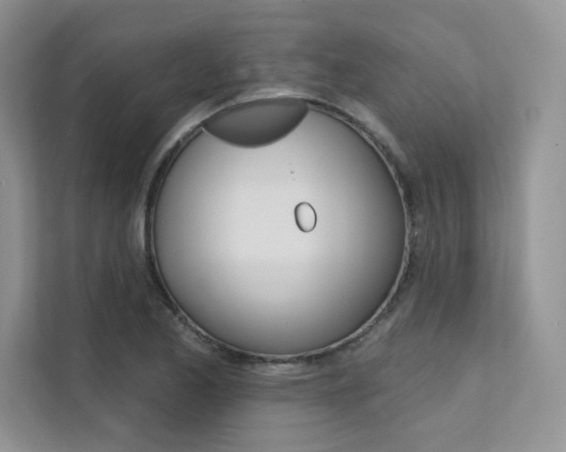 X0000112181173200908070934