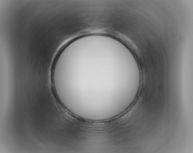 X0000112181174200908070934