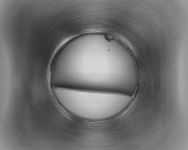 X0000112181179200908070934