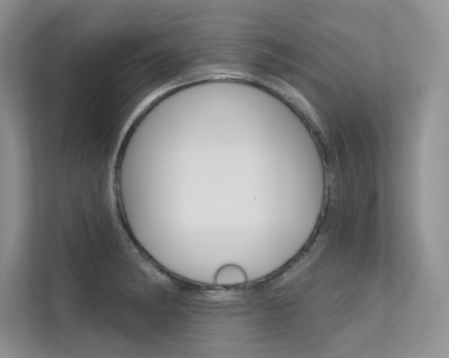 X0000112181182200908070934