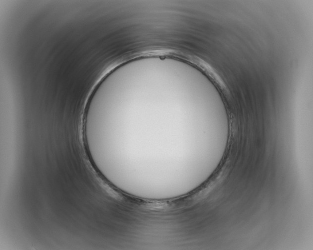 X0000112181186200908070934