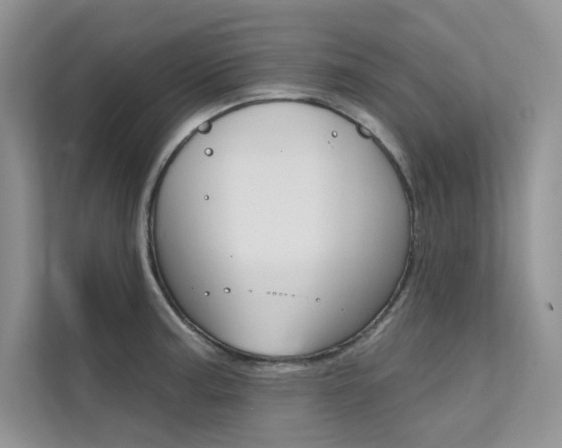 X0000112181187200908070934