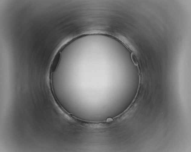 X0000112181189200908070934