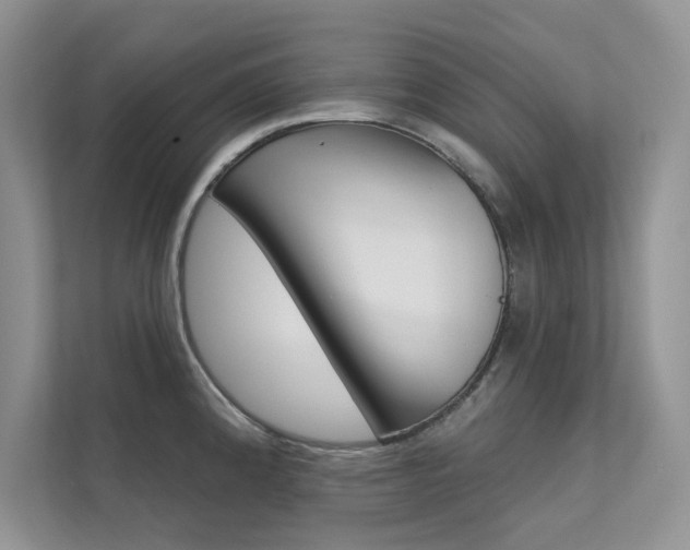 X0000112181192200908070934