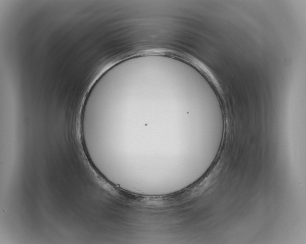 X0000112181194200908070934