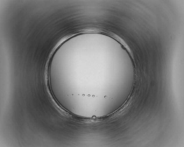X0000112181195200908070934