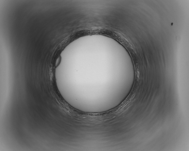 X0000112181204200908070933