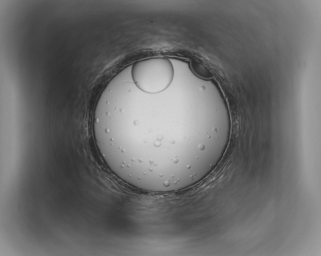 X0000112181205200908070933