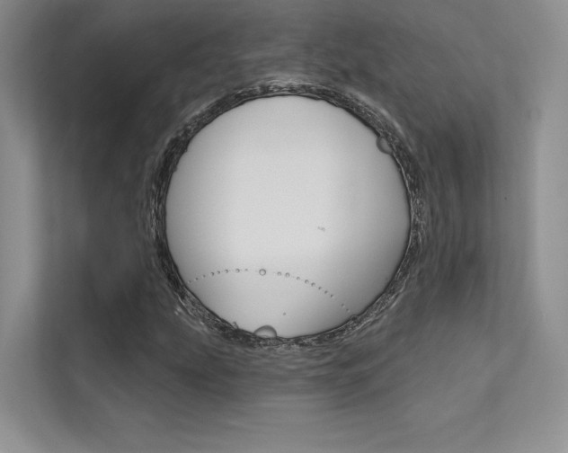 X0000112181207200908070933