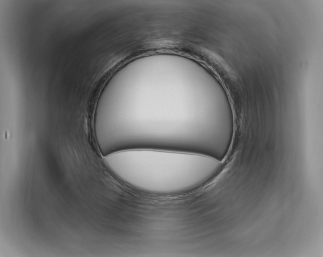 X0000112181209200908070933