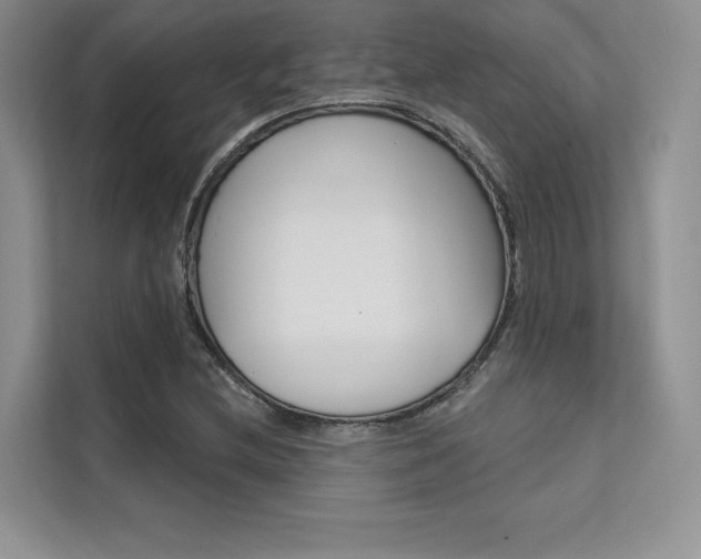 X0000112181212200908070933