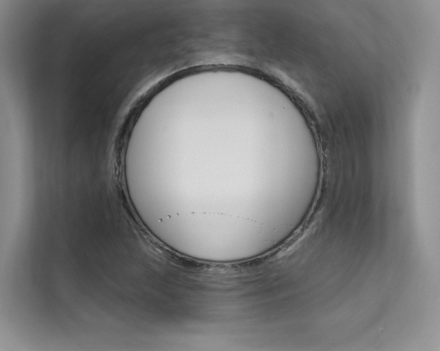 X0000112181215200908070933