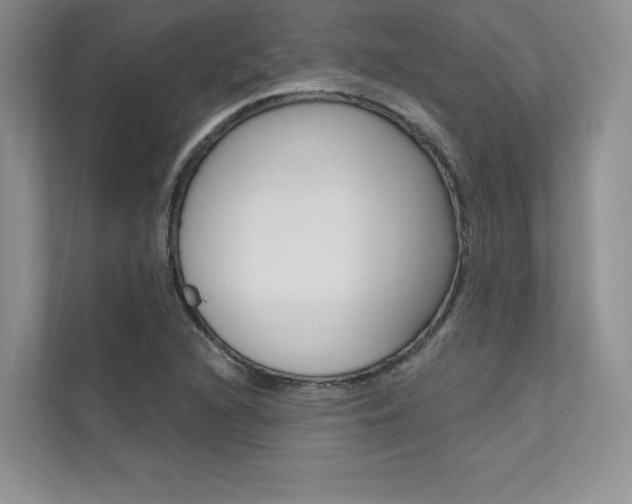 X0000112181216200908070933